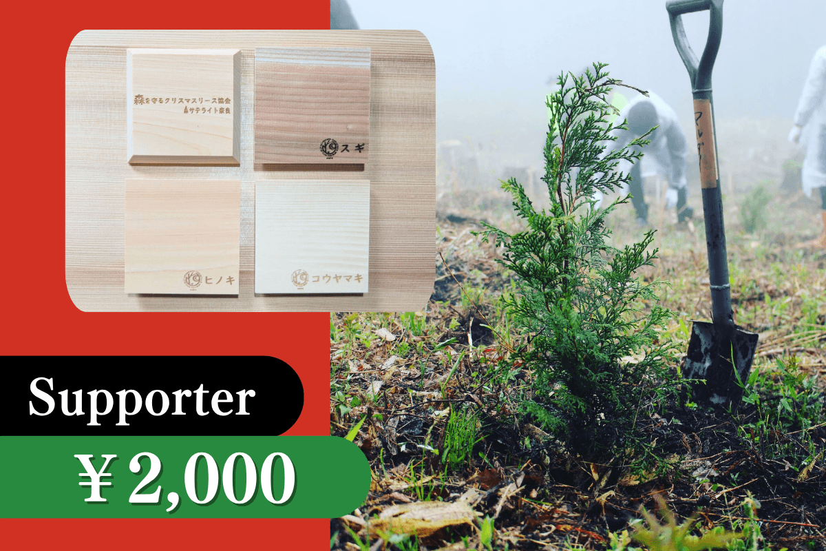 苗木の寄付の画像