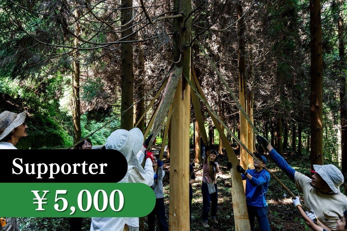 皮剥き間伐体験・優先案内権の画像