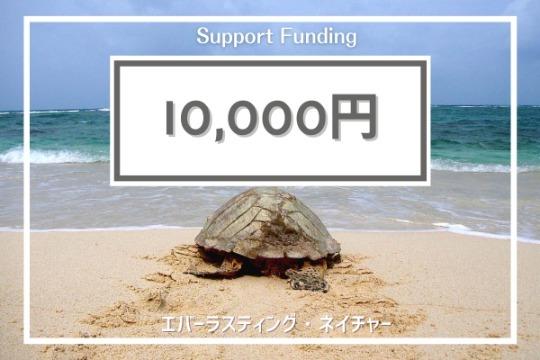 ご寄付でできることの画像