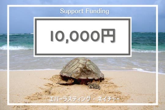 ご寄付でできることの画像