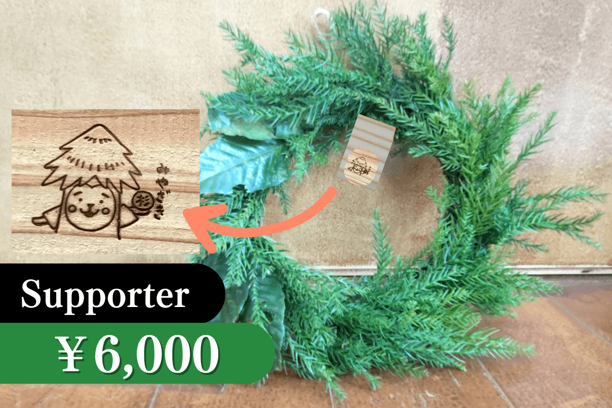 グリーンリースキット一式の画像