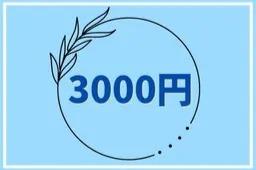 ガッツリ応援で寄付!の画像