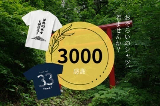 約1年のご支援で神社仏閣6ヵ所分の清掃用具一式及び啓蒙用ポスターが準備できます! Image