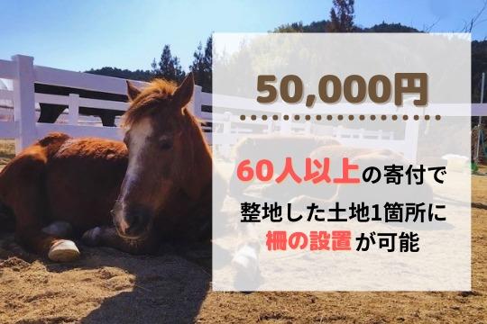 御礼・特典の画像