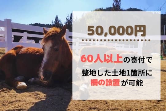 御礼・特典の画像