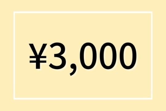 3,000円プランの画像