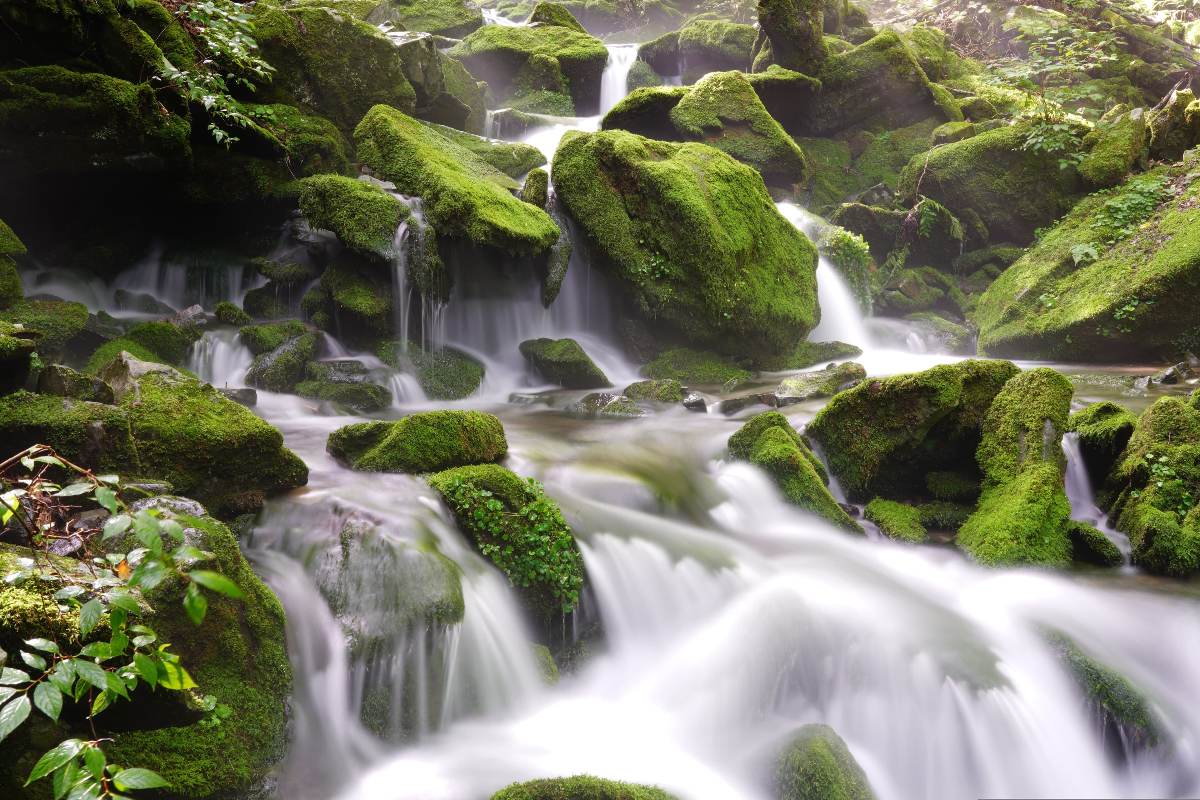 沢になるの画像