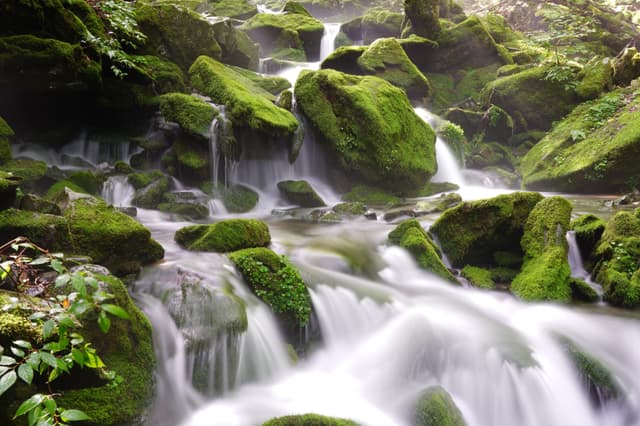 沢になるの画像