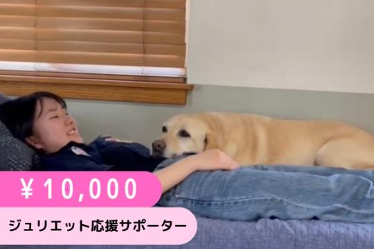 ジュリエット応援サポーター(10,000円)の画像