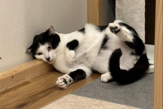 全力応援の画像