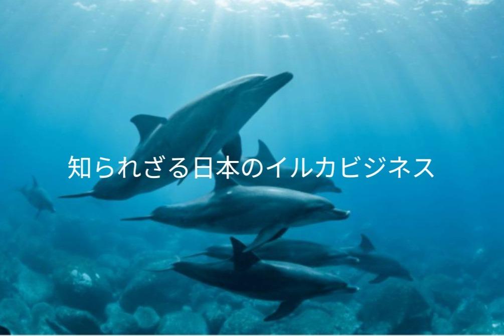 支援している団体の活動費にの画像