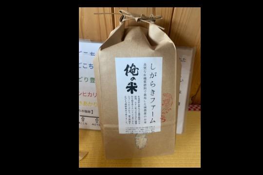 しがらき火まつり盛り上げ隊を応援する5000の画像