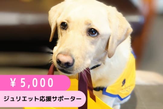 ジュリエット応援サポーター(5,000円)の画像