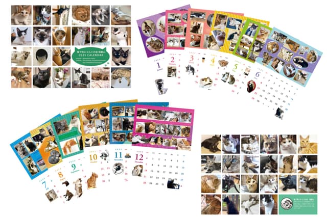 2025年 TNHomeで幸せになった元保護猫たちのカレンダー3部 Image