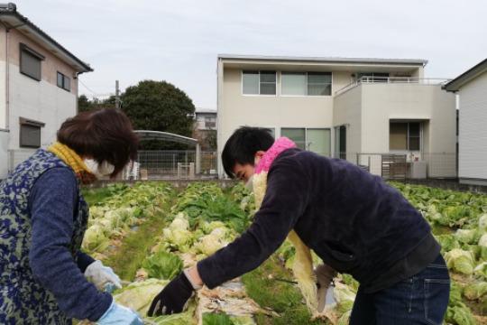 新しい支援やプロジェクトを生み出すことができますの画像