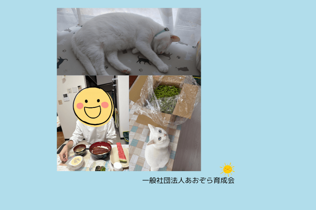 【生活備品購入】若者たちの新しい暮らしを支える日用品や家電の費用の画像