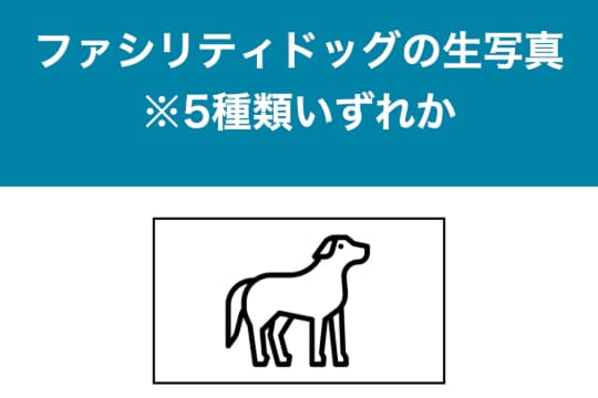 ファシリティドッグの生写真 ※5種類いずれかの画像
