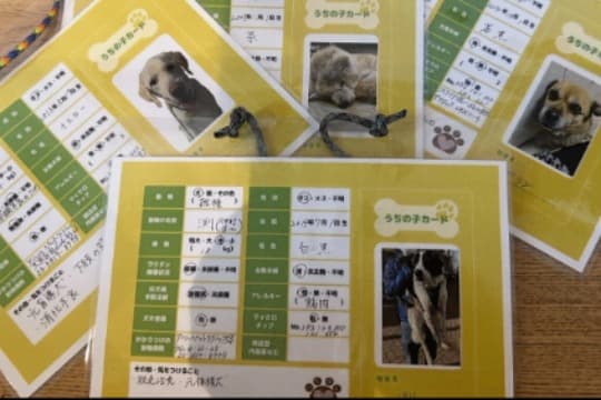 愛犬に必需品!!「うちの子カード」作成ワークショップの画像