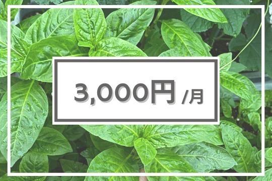 【寄付金の使途】の画像