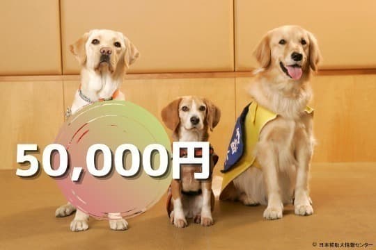 【御礼・特典】の画像