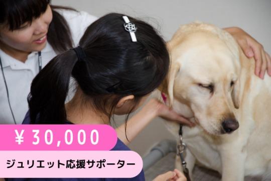 ジュリエット応援サポーター(30,000円)の画像