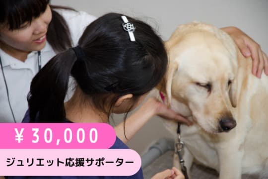 ジュリエット応援サポーター(30,000円)の画像