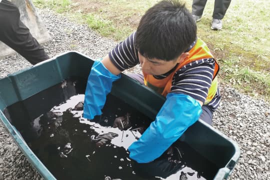 の画像