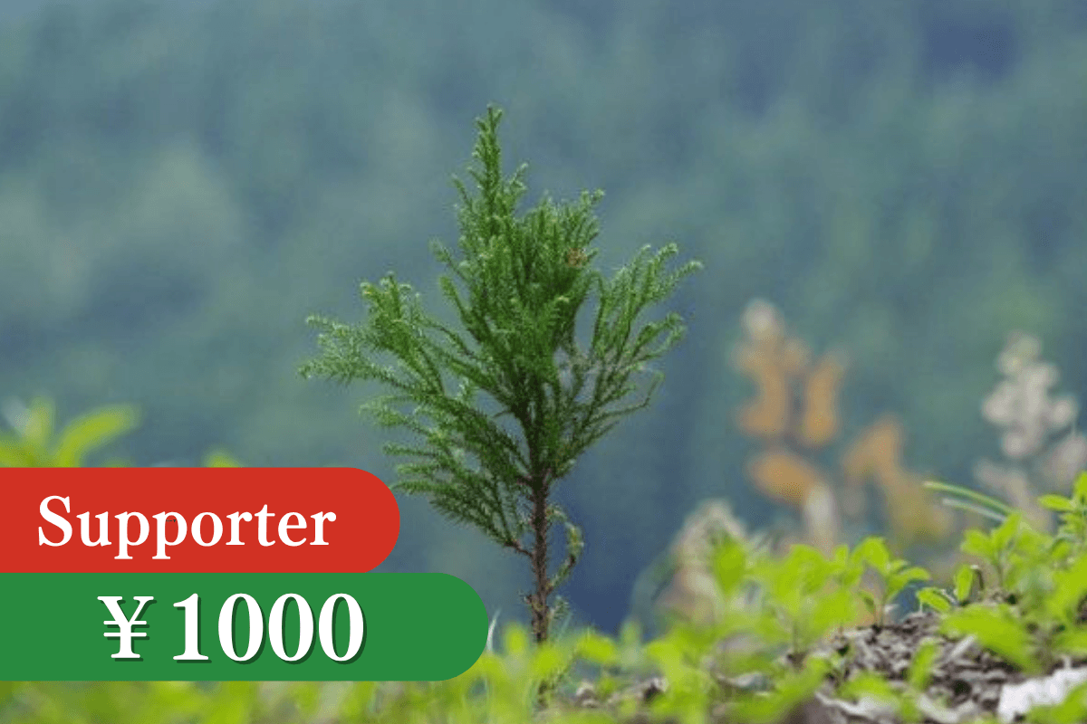 苗木1本の寄付 Image