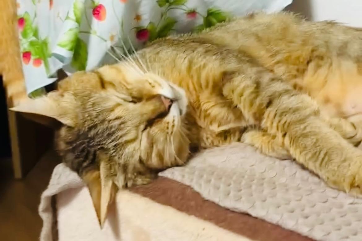 ใใชใผๅป็่ฒปใฎ็ปๅ