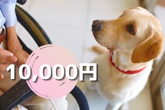 【御礼・特典】の画像