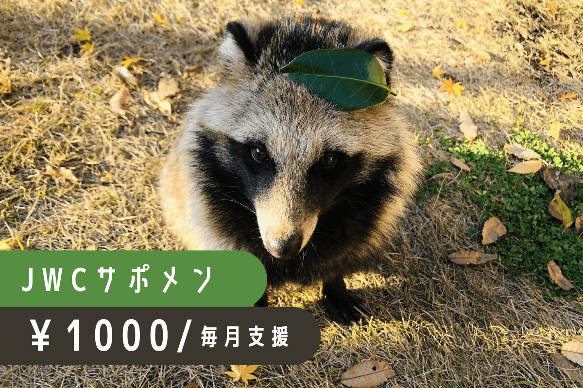 日々の治療費や飼養費として大切に活用させていただきますの画像