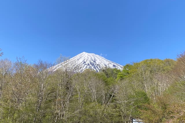 一緒に森の応援(企業向)の画像