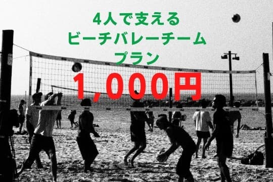 【シンプルに応援】4人で応援「ビーチボールバレー」プランの画像
