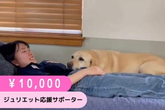ジュリエット応援サポーター(10,000円)の画像