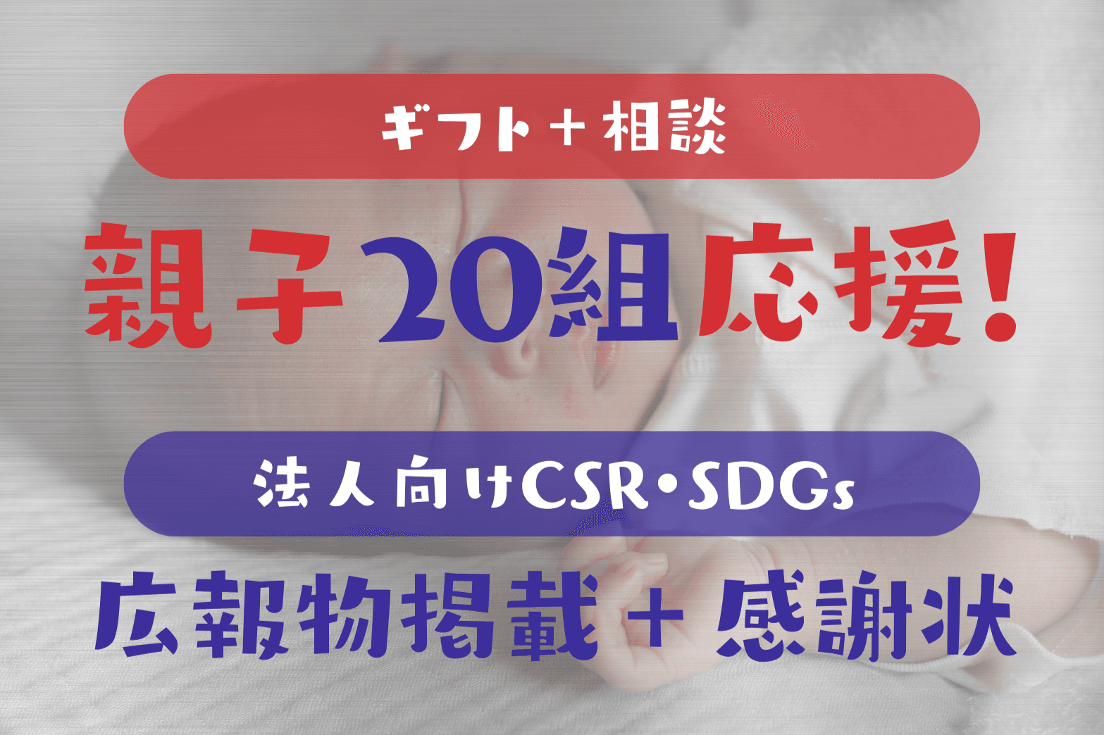 シルバーパートナー(広報物掲載+感謝状+活動報告書送付)の画像