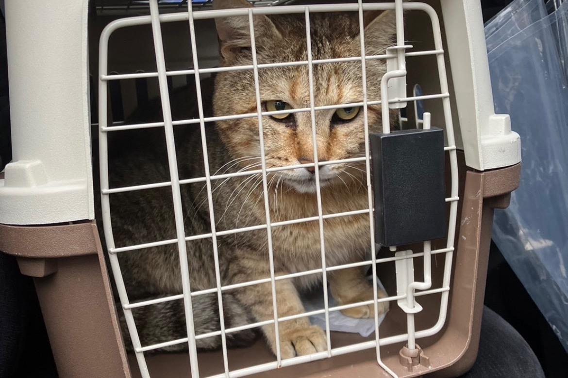 ใใชใผๅป็่ฒปใฎ็ปๅ