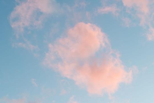 御礼・特典の画像