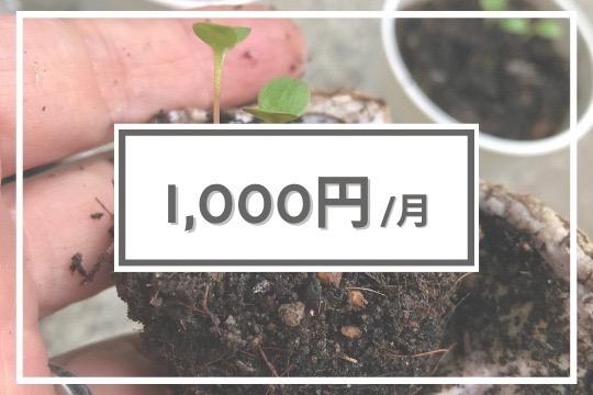 【寄付金の使途】の画像