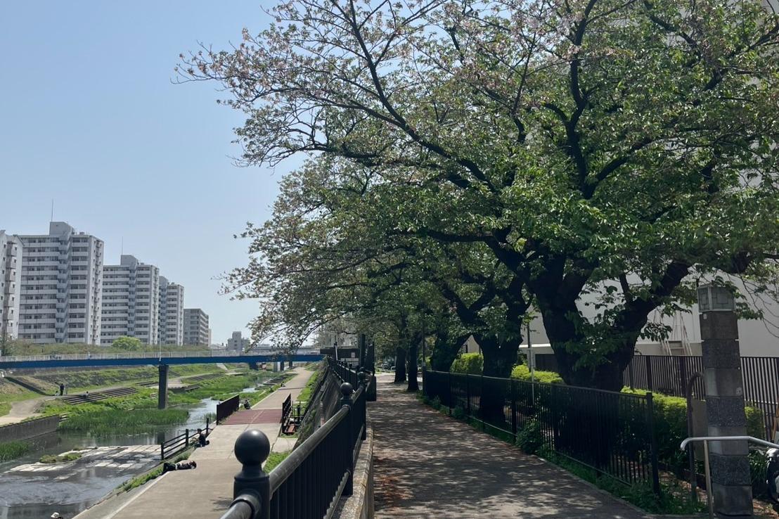 こまちぷらす代表森による半日ツアーの画像