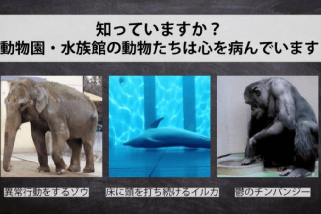 支援している団体の活動費にの画像