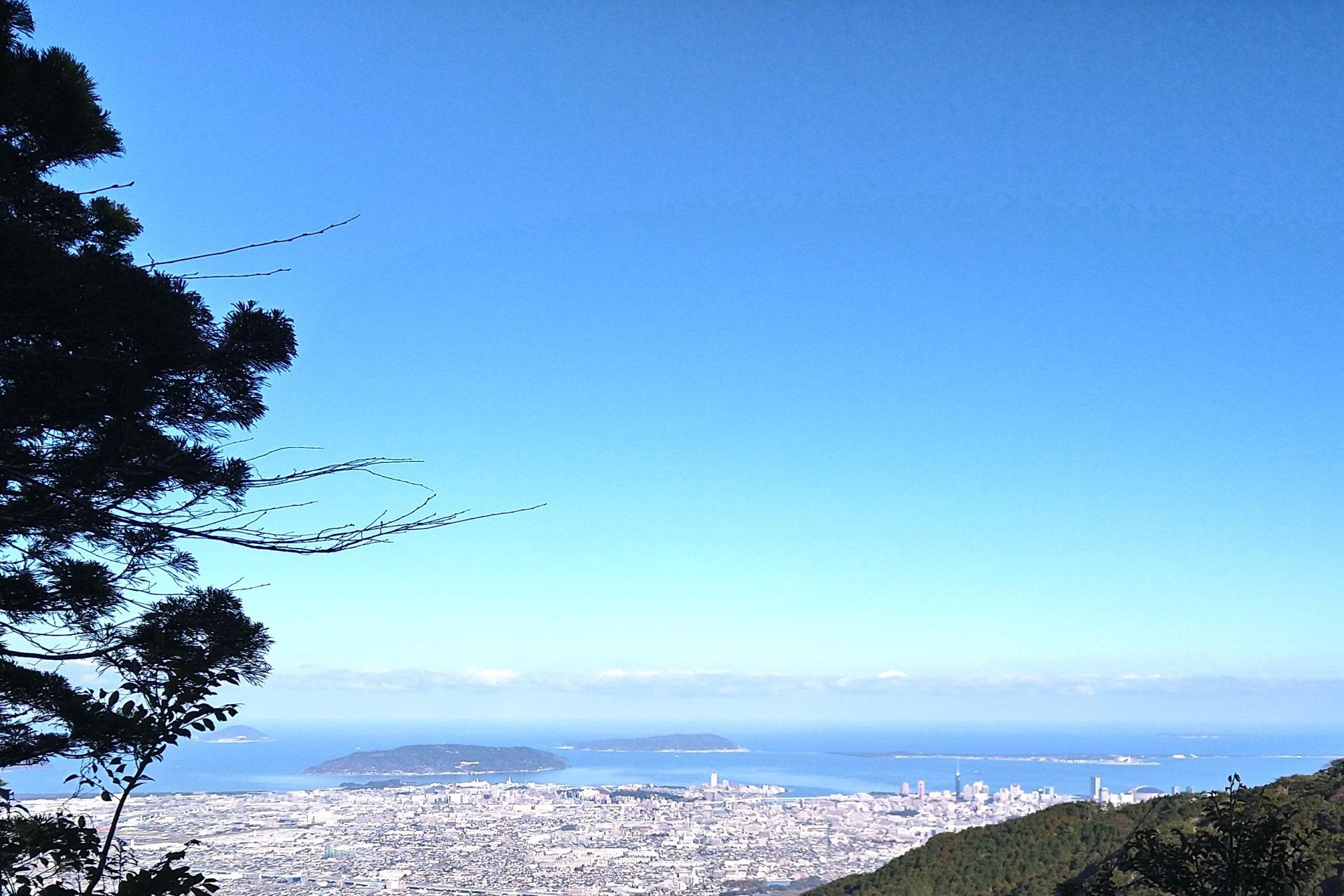 頼れる人がいない若者の自立をサポートの画像
