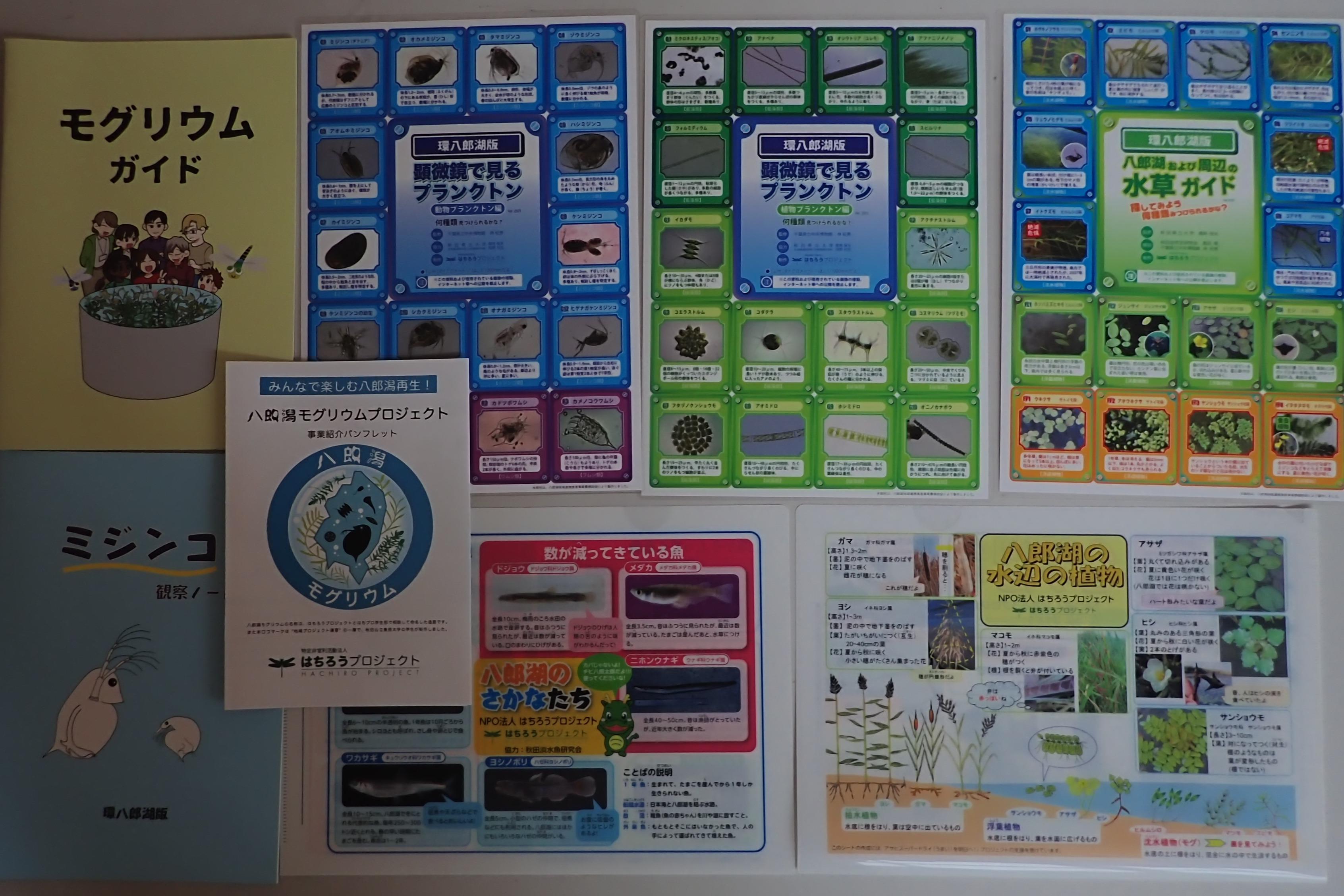 「八郎湖学習セット」コースの画像