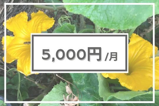 【寄付金の使途】の画像