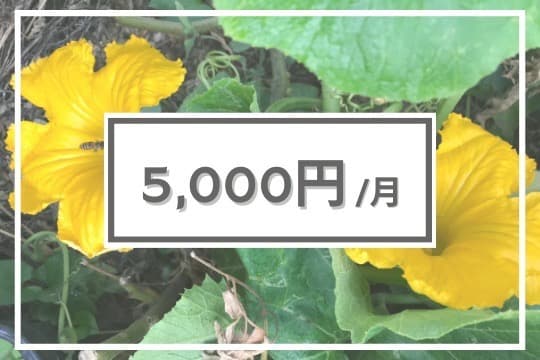 【寄付金の使途】の画像