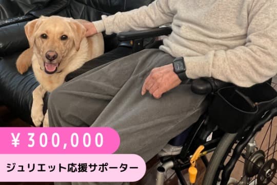 ジュリエット応援サポーター(300,000円)の画像