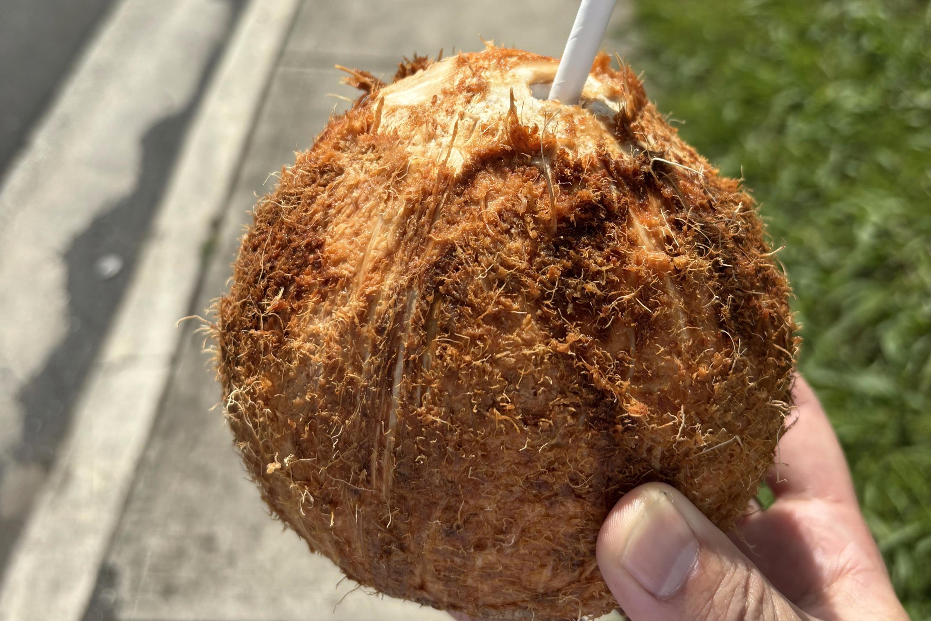 🔸【1,000円】気軽に応援プランの画像