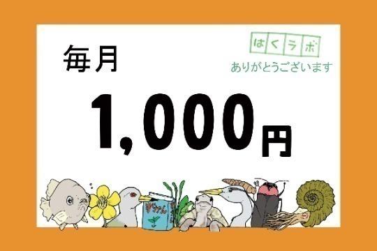 【しっかり応援】サポーター Image