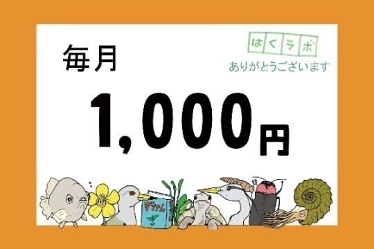 【しっかり応援】サポーター Image