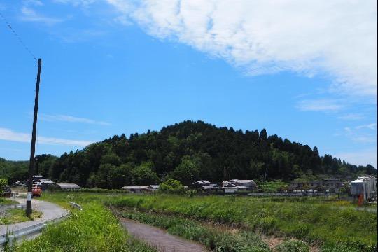 せっかくだったら参加するなら信楽を満喫するの画像