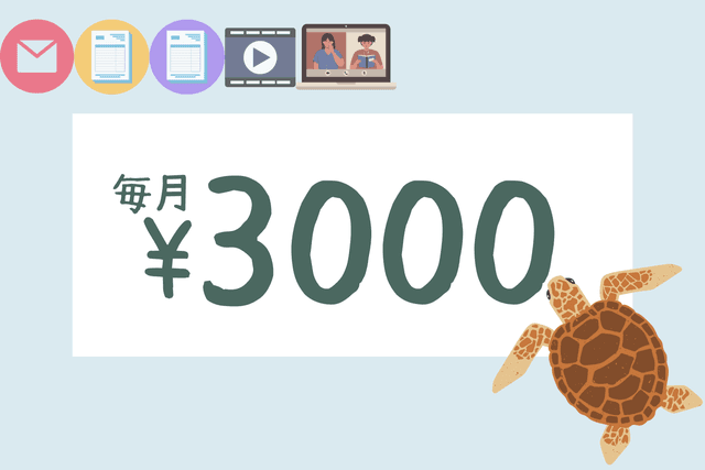1年で2,280匹の赤ちゃんガメを海に帰すことができますの画像